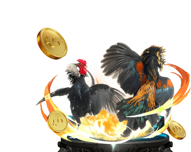 Quản lý vốn hiệu quả với Công cụ luck8